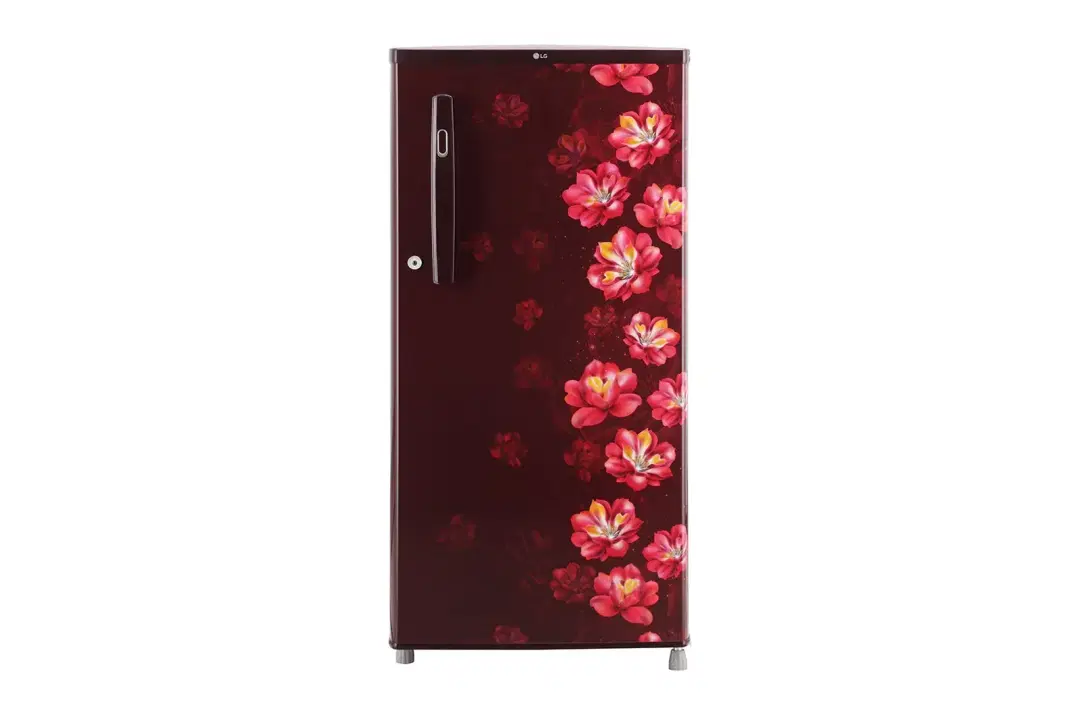 LG 185 Ltr, 1 Star, Direct Cool Single Door Refrigerator (GL-B199OSTB)