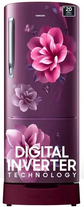 Samsung 183 L Direct Cool Single Door 4 Star Refrigerator with Base Drawer with Digital Inverter (Camellia Purple, RR20C1824CR)