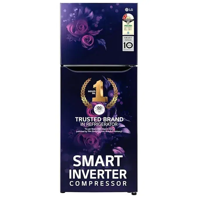 LG 242 L 2 Star Smart Inverter Double Door Refrigerator Appliance (GL-N292BBEY), Blue Euphoria