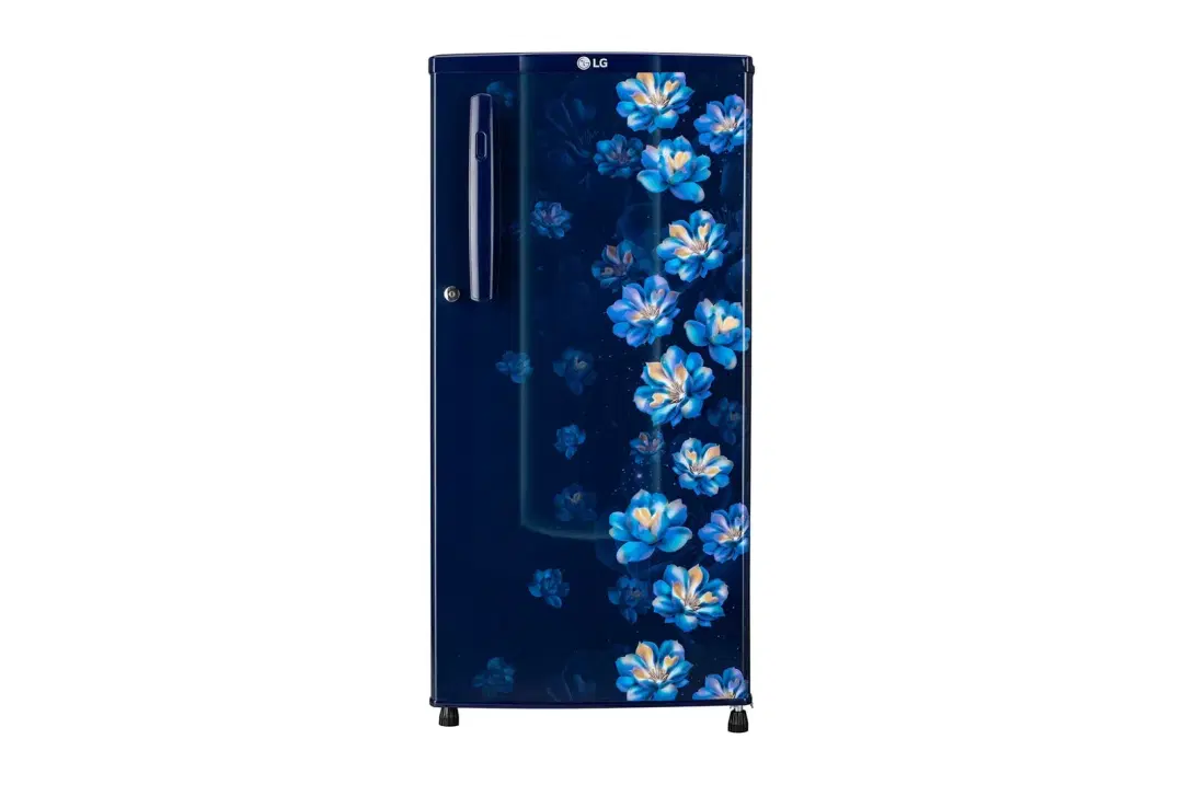 LG 180L, 1 Star, Blue Jasmine, Direct Cool Single Door Refrigerator GL-B181OBJB