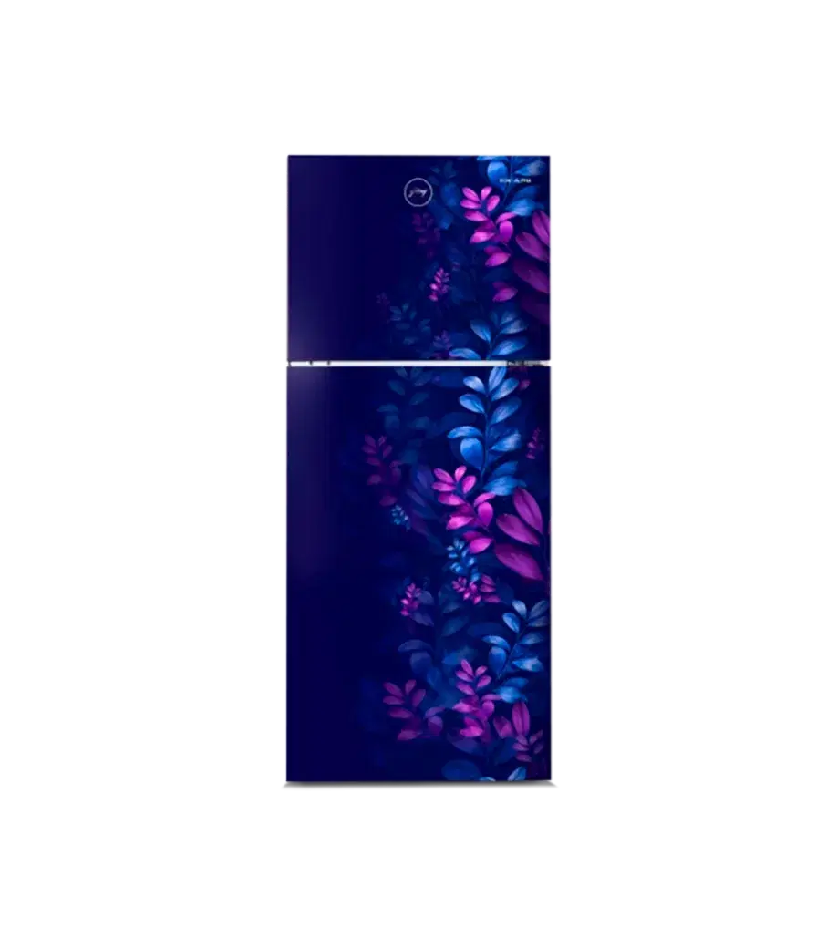 Godrej 216 L Frost Free Double Door Top Mount 2 Star Refrigerator (RT EONALPHA 250B RI AR BL, Aria Blue)