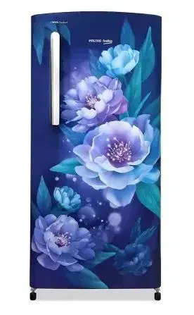 Voltas Beko by A Tata Product 175 L Direct Cool Single Door 1 Star Refrigerator (BLUE, RDC208E/S0PBE0M0000GD)