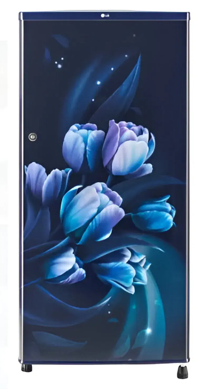 LG 185 L Direct Cool Single Door Refrigerator (Blue Tulip, GL-B199OBTB)