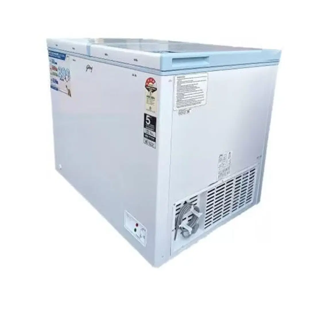 Godrej 300 L 4 Star Double Door Freezer (DH EPenta 325D 2HCN RW, White)