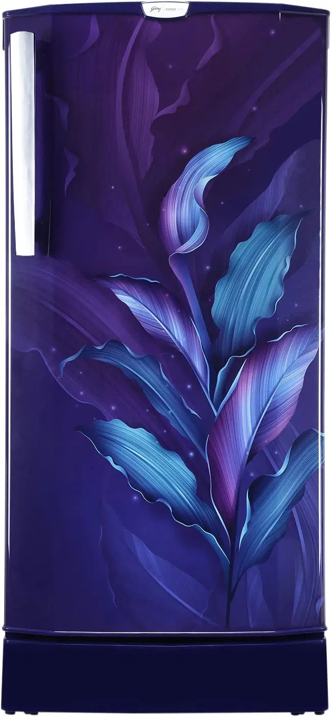 Godrej 185 L 5 Star Inverter Direct Cool Single Door Refrigerator Appliance (RD EDGEPRO 205E 53 TAI PC BL, Pacific Blue, Hygiene+ Inverter Technology, 2024 Model)
