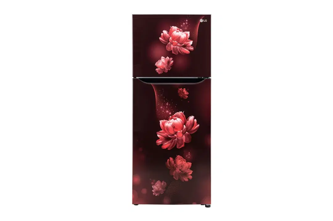 LG GL-N292BSCY 242L Frost Free Double Door Refrigerator with Smart Inverter Compressor, MOIST ‘N’ FRESH, 2-Star – Scarlet Charm